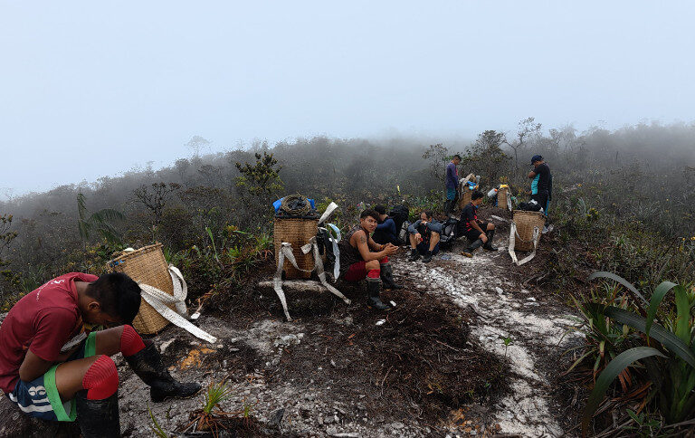 A subida envolve aproximadamente seis a oito dias de trilha pela floresta até alcançar o cume - Foto: Leandro Eiró/ICMBio