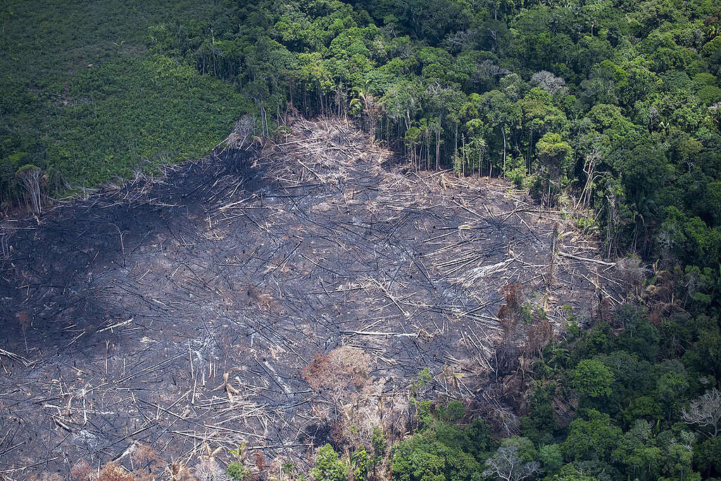 O fogo oferece risco às pessoas e aos animais e contribui para engordar as emissões de gases do efeito estufa. Em 2018, apesar da tendência geral de queda no número de focos de calor na Amazônia Legal, estados críticos em desmatamento registraram mais fogo.