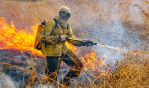 Leia mais sobre o artigo Governo divulga planejamento para enfrentar incêndios em 2026