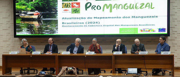 Mapeamento dos Manguezais Brasileiros foi lançado em 18 de março. Foto: Hermínio Lacerda/Ibama