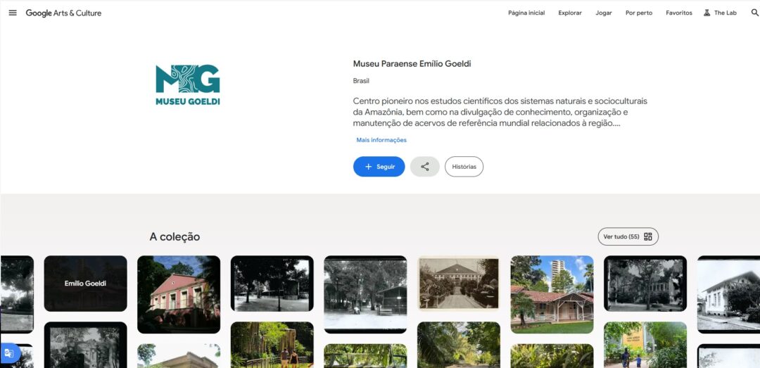 página do Museu Goeldi no Google Arts & Culture 