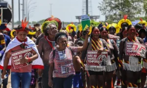 Leia mais sobre o artigo Organizações denunciam propostas legislativas com ameaças ambientais