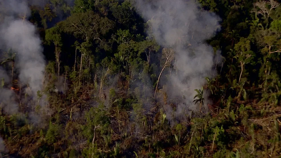 queimadas na amazônia