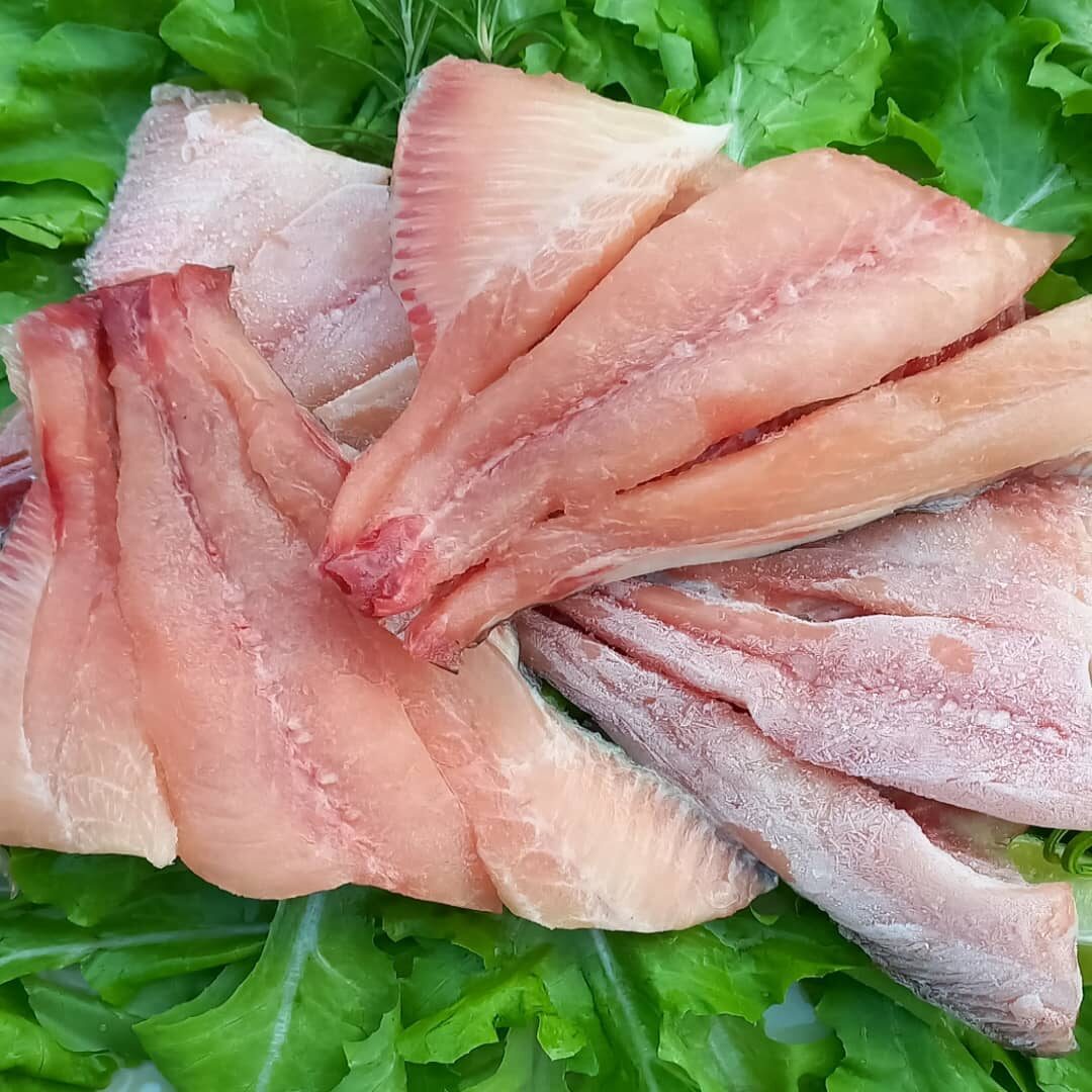 Embrapa realiza pesquisa sobre aceitação do consumidor à carne de peixe cultivada a partir de células