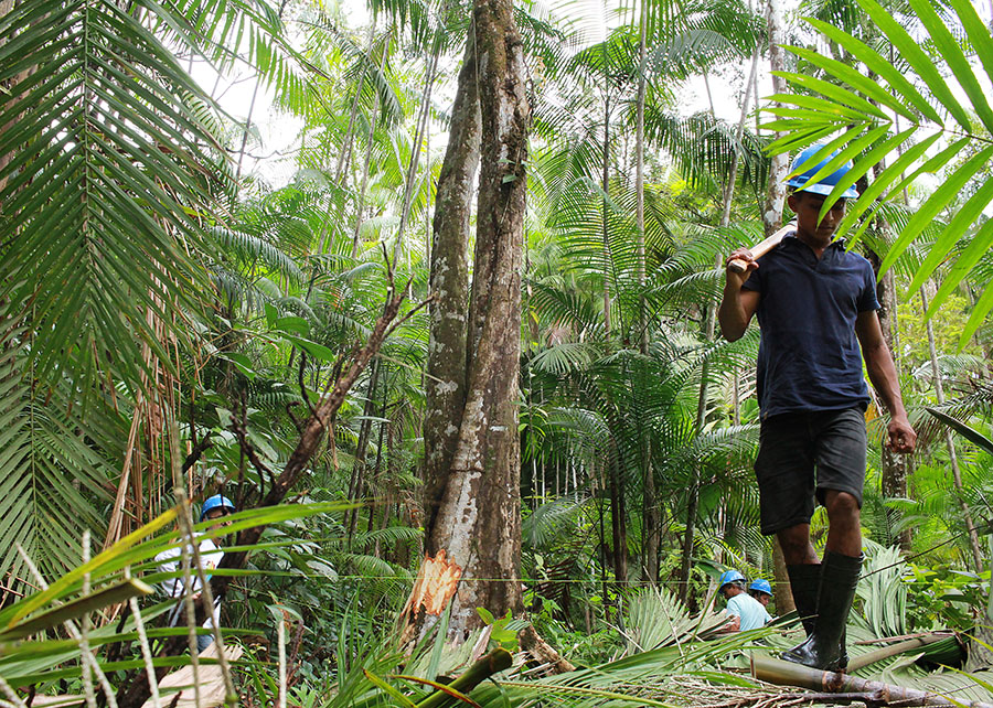 sustentabilidade amazônia