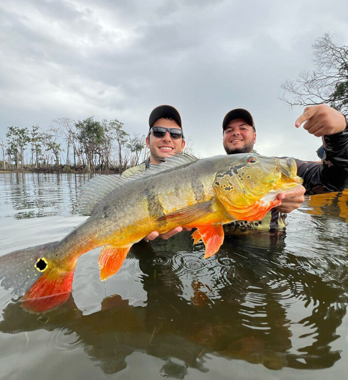 pesca esportiva em reserva de roraima
