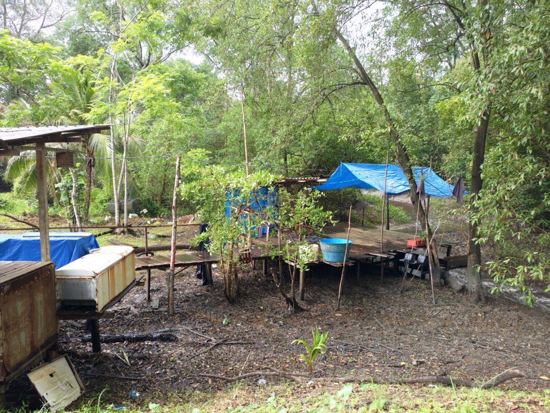 estudo sobre bioeconomia no pará - funbio