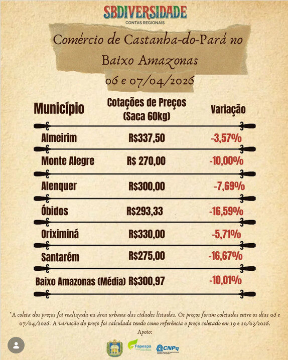 Preço da castanha-da-Amazônia cai na região do Baixo Amazonas, no Pará, em abril