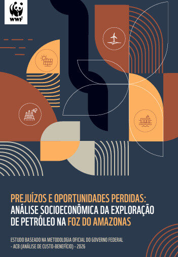 Análise socioeconômica de custo-benefício compara a rota fóssil na Margem Equatorial com energia renovável e biocombustíveis. Foto: Divulgação/WWF