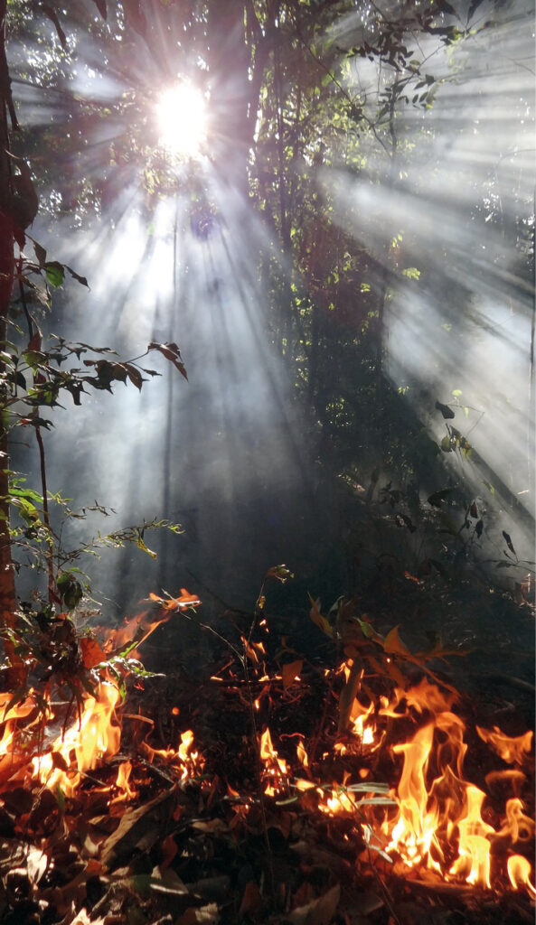 Queimadas Amazônia