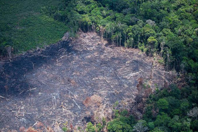 áreas degradadas pelo Desmatamento na Amazônia foto Greenpeace