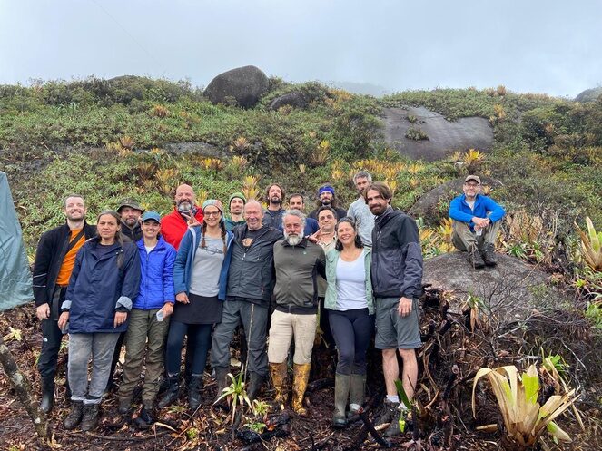 Novo gênero de caranguejo é identificado no Parque Nacional do Pico da Neblina AM