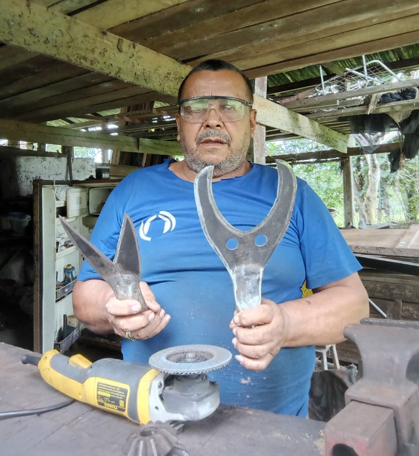 Inovação alia eficiência e sustentabilidade à bananicultura familiar na Amazônia