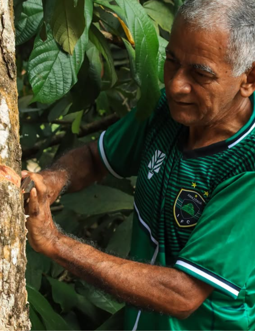 'Memória': Amazônia Independente FC lança camisa inspirada na tradição seringueira de Belterra