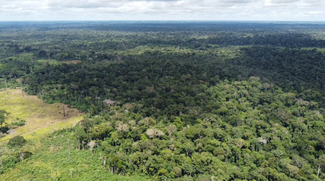 FLORESTA AMAZÔNICA NO AMAPÁ


MIDR