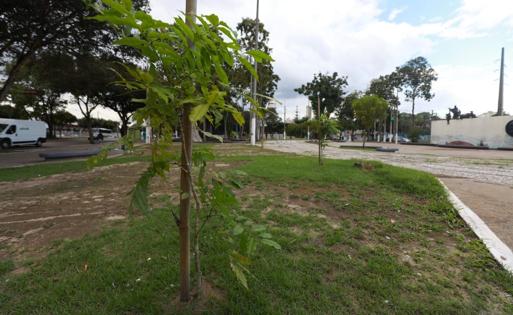 Jardim de chuva
