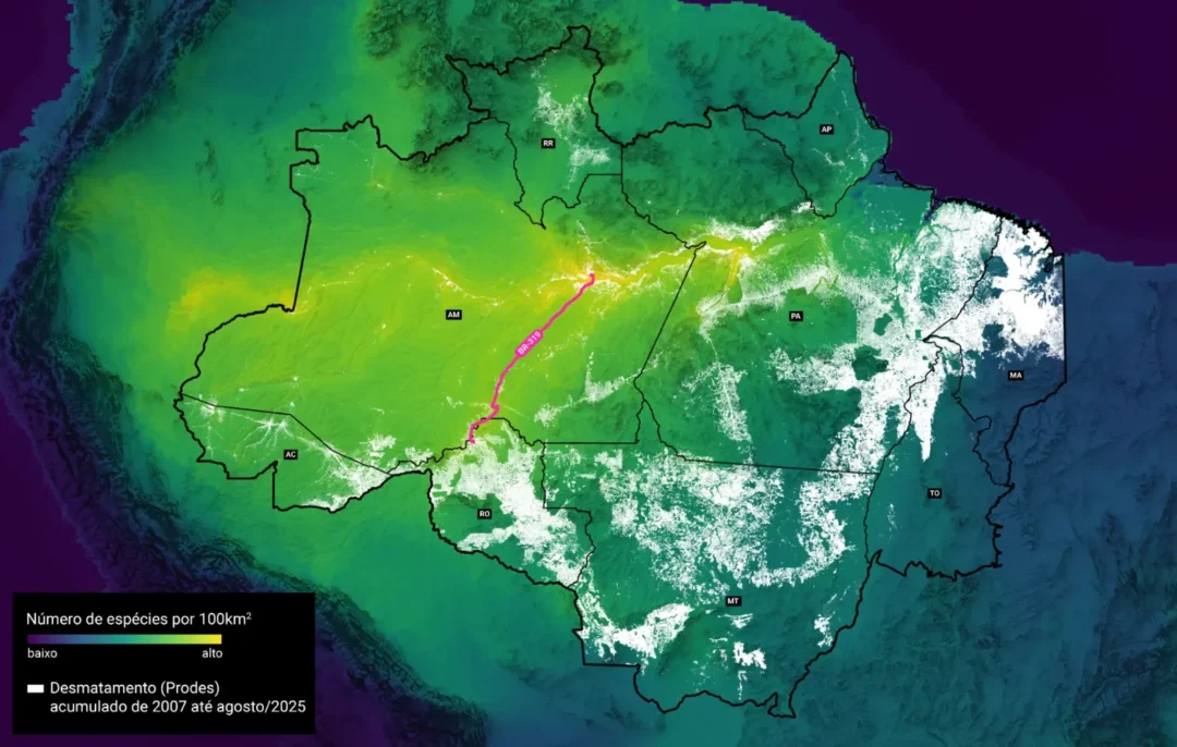 Mapa mostra por que a BR-319 abrirá uma ferida incurável na Amazônia