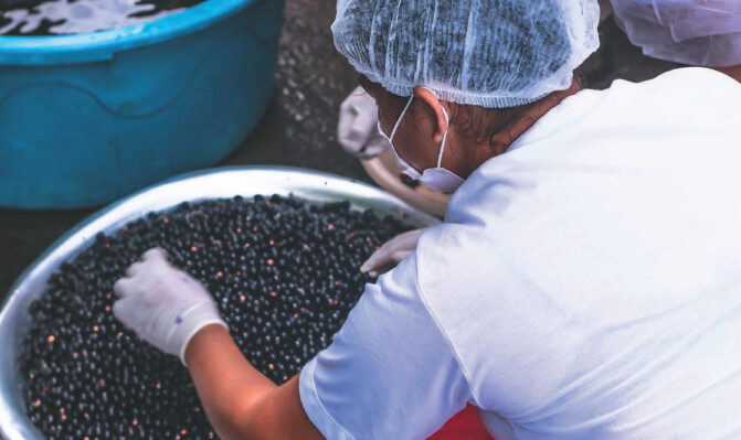 separação do açaí