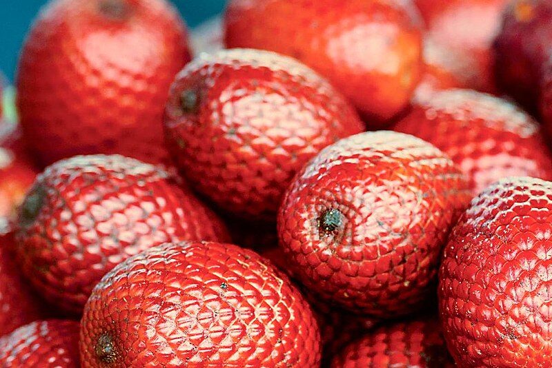 Buriti