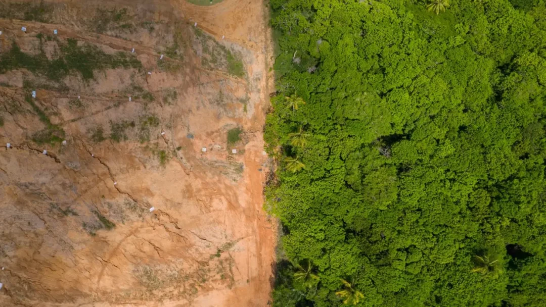 Entenda o que é a NDC coletiva que a Pan-Amazônia estuda criar, segundo pesquisador da OTCA
