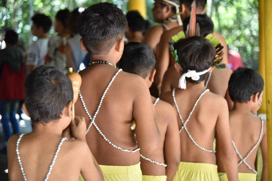 Coiab alerta para avanço da violência contra indígenas na Amazônia após divulgação do Atlas da Violência 2026