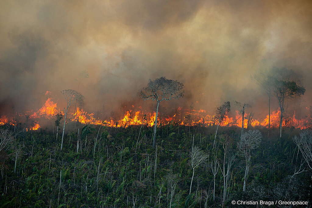 incêndios na amazônia - el niño