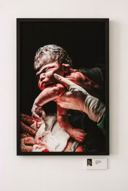 fotografia amazonense
