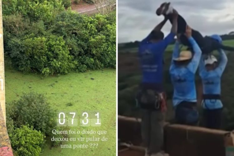 Maria Eduarda morreu na queda