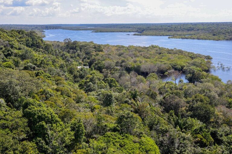Observatório agronegócio 