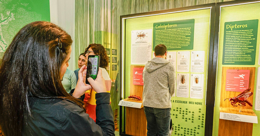 Exposição no Museu de Zoologia explora a grandiosidade da Amazônia a partir das pequenas espécies