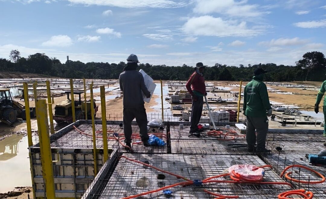 Caroço de tucumã se transforma em bioplástico sustentável para a construção civil