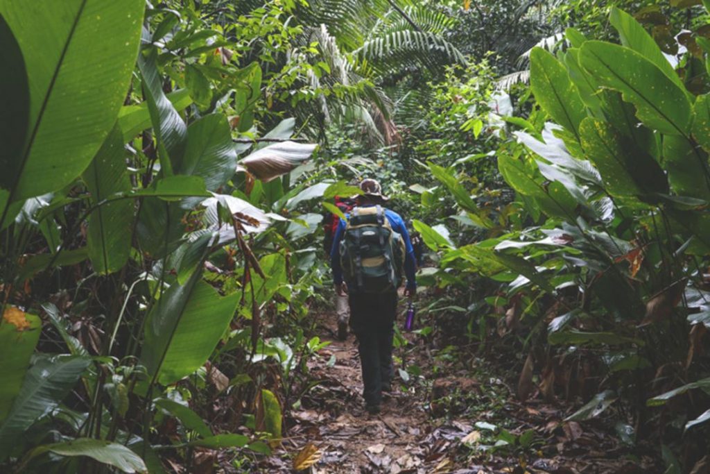 trilha amazônia