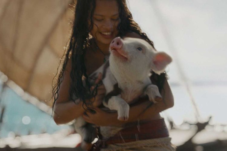 cena do live-action de moana