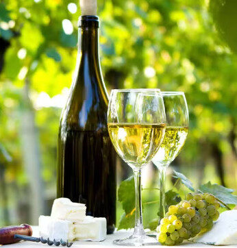 Verão amazônico: sommelier dá dicas de vinhos para aproveitar o calor com mais refrescância