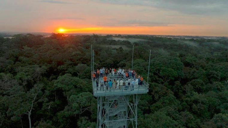 musa amazonas faz exposição sobre cogumelos