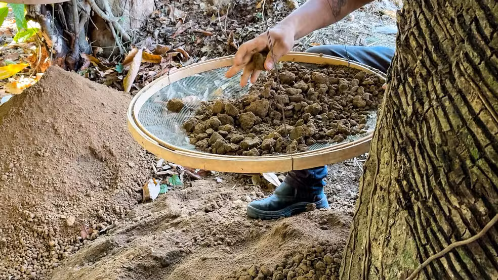 Atualmente, Itacoatiara possui 46 registros de sítios arqueológicos cadastrados pelo Iphan. 
