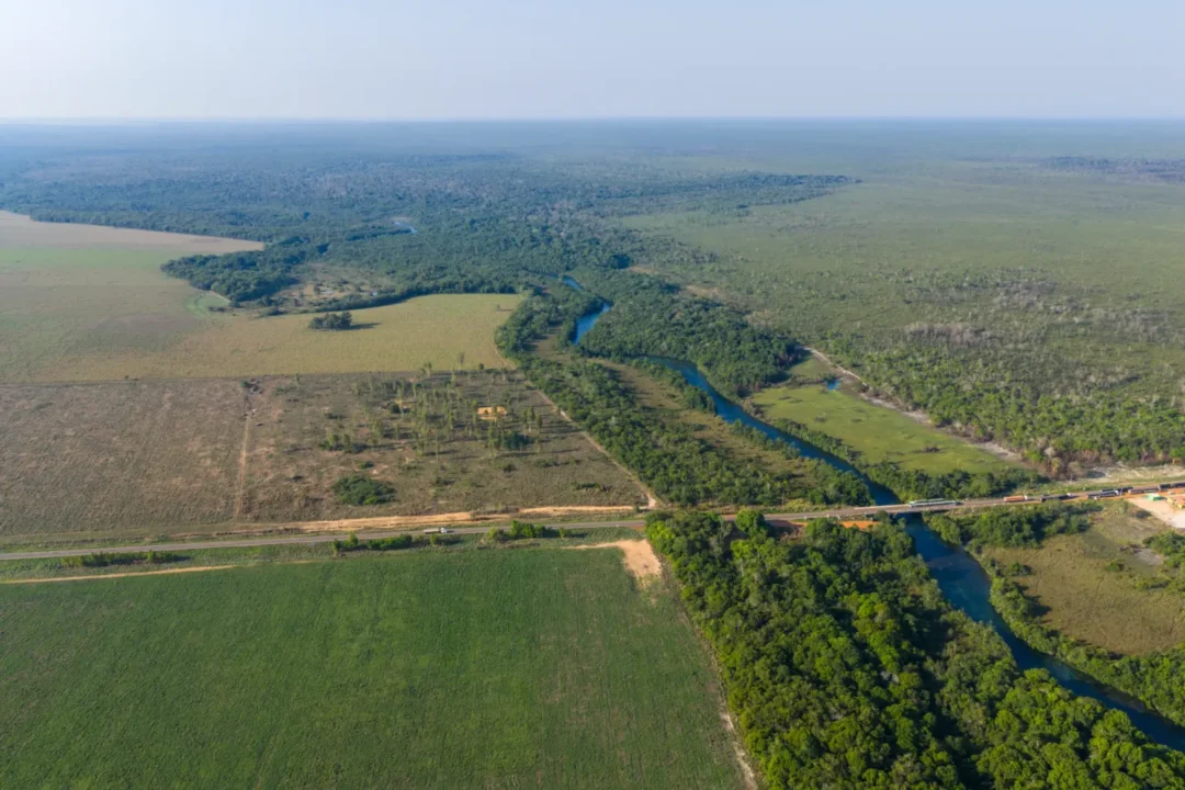 Estudo defende proteção legal para áreas ao redor de terras indígenas na Amazônia
