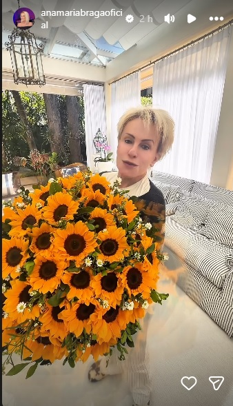 Ana Maria Braga Stories
