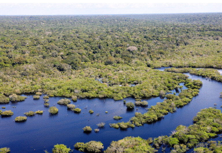 floresta amazõnica. Fundo Amazônia