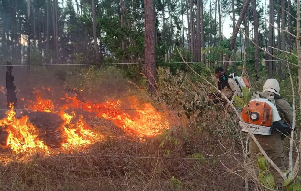 Ibama registra 124 acionamentos por incêndios no AP e alerta para extensão da seca pelo Super El Niño