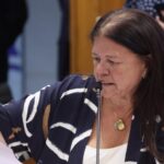 Reunião de Líderes. Dep. Laura Carneiro (PSD - RJ)