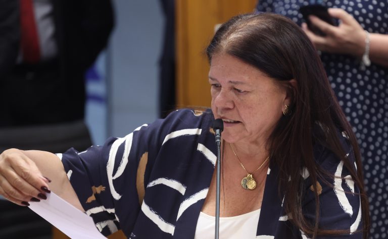Reunião de Líderes. Dep. Laura Carneiro (PSD - RJ)