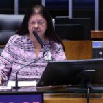 Homenagem aos 20 anos da Lei Maria da Penha. Dep. Laura Carneiro (PSD-RJ)