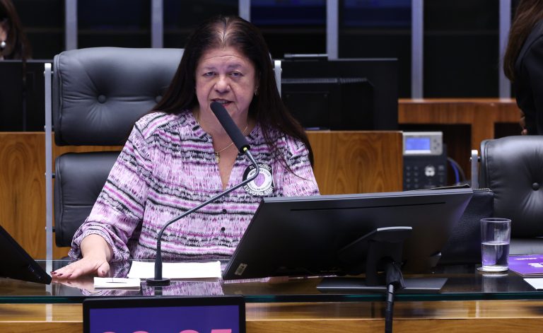 Homenagem aos 20 anos da Lei Maria da Penha. Dep. Laura Carneiro (PSD-RJ)