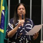Discussão e votação de propostas legislativa. Dep. Laura Carneiro (PSD - RJ)