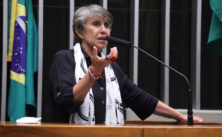 Discussão e votação de propostas legislativas. Dep. Erika Kokay (PT - DF)